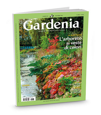 Gardenia 6 numeri